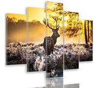 Feeby Frames, Tableau multi panneau 5 parties, Tableau imprimé xxl, Tableau imprimé sur toile, Tableau deco, Pentaptyque Type A, 150x100 cm, CERF, ANIMAUX, CORNES, FORÊT, NATURE