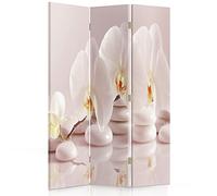 Feeby Paravent Fleurs orchidée 3 Panneaux 110x150 cm Une Seule Côté Cloison de séparation Écran Pliant Foto Paravent Interieur Décoratif Mur Espagnol Chambre d'enfant Salon Bureau Nature Pierres Zen