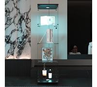 FEEOHOME Vitrine en Verre avec LED, Transparent vitrine sur Pied Vitrine trempé Moderne en Verre 4 Couches avec 1 Porte, vitrines de Collection pour Salon, Chambre à Coucher, 43x36x164cm