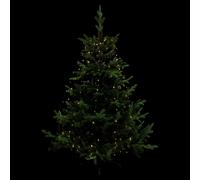 FEERIC CHRISTMAS Guirlande Extérieure L.170 blanc chaud