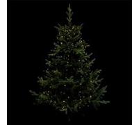 FEERIC CHRISTMAS Guirlande Extérieure L.170 blanc chaud