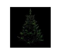 Fééric Lights and Christmas - Guirlande Lumineuse Extérieur "Robe" 220cm Blanc Froid