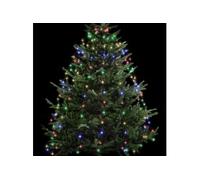 Fééric Lights and Christmas - Guirlande Lumineuse Extérieur "Robe" 220cm Multicolore