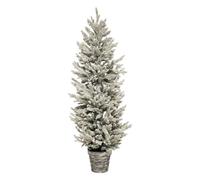 Feeric Lights et Christmas - Sapin en Pot Frosty 150cm