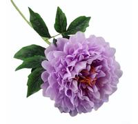 Feeshoppher Tige de pivoine artificielle de 75 cm de haut, grande fleur artificielle pour mariage, centre de table et arrangements de décoration d'intérieur, matériau plastique, simulation réaliste, F