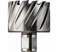 Fein Fein Fraise HSS Nova 25 emmanchement 3/4 in Weldon, Ø perçage 12 mm, Profondeur de co Quantité:1