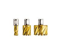 FEIN 63134200076, Fraise HSS Dura 50 emmanchement 3/4 in Weldon, Ø20x50mm, pour une coupe précise et efficace, Fraise à Haute Vitesse, Accessoire Outil de Coupe, pour tous types de supports