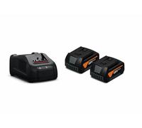 Set de démarrage FEIN - 2 batteries18V 5Ah + 1 chargeur rapide GAL 1880 CV FEIN