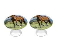 FekiLoot Boutons d'armoire ronds en acier inoxydable pour placard de salle de bain - Cheval courant dans le champ