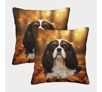 FELASBUID Cavalier King Charles - Portrait d'animal d'automne Housse Coussin 2 Pièces Disponible Toutes Les Saisons Taie d'oreiller Decoratif Housses Coussin Canape Luxe pour Siège Maison 45x45cm