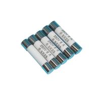 FELEA Fusible RO55 2A R055 Tube de fusible en céramique 250V 2A 5X25mm 100 pièces/boîte