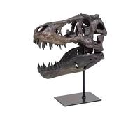 Felenny Sculpture de crâne de dinosaure antique en résine - Accessoire de photographie - Décoration festive - Œuvre d'art vintage