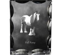 Fell Pony - cristal avec image de cheval, statuette en verre avec image, cadre unique avec image de la marque Art-Dog