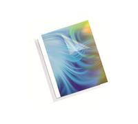 Fellowes - 1.5 Mm - A4 (210 X 297 Mm) - 8 Feuilles - 150 Micromètres Blanc - 220 G/M² - 100 Unités Couverture À Reliure Thermique - Pour Fellowes Helios 30, Helios 60