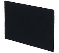 Fellowes Filtre carbone pour purificateur d'air AeraMax PT65 – Lot de 2