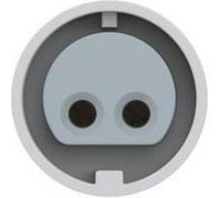 Femelle CEE 16 A 2 pôles PCE 282-12v 42 V blanc, gris 1 pc(s)
