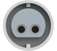 Femelle CEE 32 A 2 pôles PCE 292-12v 42 V blanc, gris 1 pc(s)