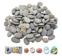 FENGCHUANG 40 Pièces 1-3 cm Galets a Peindre Cailloux Decoratif Galet | Galet à Peindre Galets Peinture DIY Naturelles Decoratif Jardin Exterieur pour Peinture Artisanat Art Décoration de Jardin