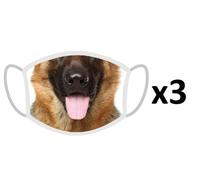 FERA 3x Masque de protection Berger allemand