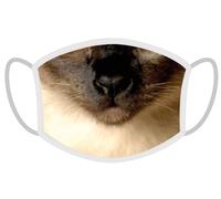 FERA Masque de protection Chat siamois