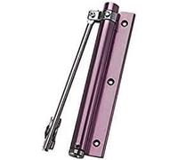 Ferme-porte automatique à charnière, fermeture, pièces assorties, porte cachée, butée de, ressort réglable, noir(Purple)