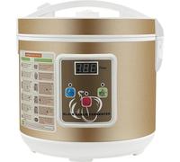 Fermenteur pour l'ail noir, appareil de cuisine multifonctionnel, facile à utiliser, de couleur jaune clair