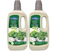 FERTILIGÈNE Engrais Plantes d'Intérieur Prêt à l'Emploi - Sans Dilution - Nutrition Éclat & Anti-Jaunissement - Pour Monstera, Ficus, Pilea - 1L (Lot de 2)