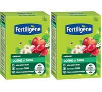 FERTILIGENE FCOSAN3 - Engrais Corne et Sang 3 kg - Action rapide et durable - Nourrit jusqu'à 3 mois - Jusqu'à 60m² fertilisées - Idéal pour la plantation du potager, des fleurs, arbustes, ornements