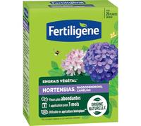 FERTILIGENE FEGHOR650 - Engrais Végétal Hortensias, Rhododendrons, Camélias 650 g - Fleurs plus abondantes -Seulement 1 application en 3 mois -Jusqu'à 26 plantes - Produit 100% naturel avec zéolite