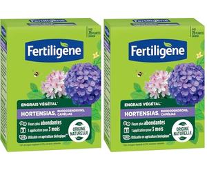 FERTILIGENE FEGHOR650 - Engrais Végétal Hortensias, Rhododendrons, Camélias 650 g - Fleurs plus abondantes -Seulement 1 application en 3 mois -Jusqu'à 26 plantes - Produit 100% naturel avec zéolite