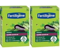 Fertiligène FSAN12 - Engrais Traditionel Sang Désséché UAB 1,2 kg - Effet Coup de Fouet - pour Une Croissance optimale et Continue - Jusqu'à 24m² fertilisées - Idéal pour Les Fleurs et Le Potager
