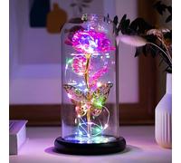 Fespcj Lumière de nuit de signe de fleur de rose,Nouvel éclairage décoratif LED économie d'énergie lumineux Halloween et Noël décoration cadeau d'affaires,Lumière papillon rose en métal coloré