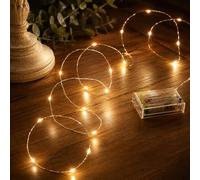 Festive Lights Micro Guirlande Lumineuse 20 LED sur Fil de Fer Argenté Ultra Malléable à Piles 2 Mètres (Blanc Chaud)