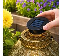 Festive Lights Panneau solaire de rechange pour lanternes de jardin - 8 cm rond pour lanternes extérieures - LED blanc chaud, blanc et changement de couleur, IP44