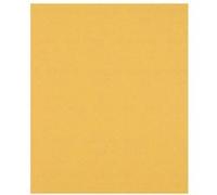 Feuille abrasive Bosch Expert C470 pour ponçage manuel G