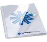 Feuille de garde HiClear A4 PVC 180 microns UE=10x100 pièces transparent