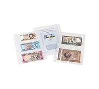 Feuilles en plastique SH 252, 2 pochettes horizontales, PP, clair, paquet de 50