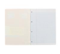Feuilles Simples Detachables Oxford 210X297 150P Optik P. Endossees 4 Trous Seyes