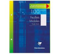 Feuillets mobiles sous étui 17x22 cm 100 pages perforées 2 trous petits carreaux