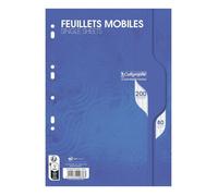 Feuillets mobiles sous film 7000 A4 200 pages perforées grands carreaux 90 g