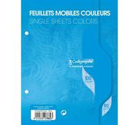 Feuillets mobiles sous film 7000 17x22 cm 100 pages perforées 2 trous grands carreaux 80 g