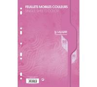 Feuillets mobiles sous film 7000 A4 100 pages perforées grands carreaux 80 g