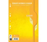 Feuillets mobiles sous film 7000 A4 100 pages perforées grands carreaux 80 g
