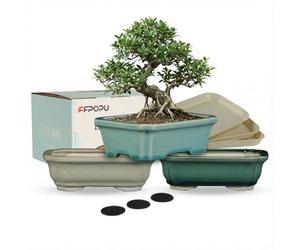 FFPOPU Petits pots à bonsaï en céramique avec plateau de drainage, 3 pics de 15,2 cm pour bonsaï avec glaçage craquelé, mini pot de fleurs pour décoration de bureau d'arbres nains, plantes succulentes