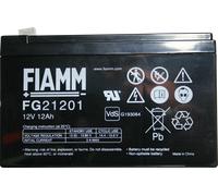 FI FG 12-12-4,8 - Batterie plomb-feutre, 12 V, 12,0 Ah
