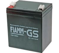 FI FGH 12-5 - Batterie plomb-feutre, 12 V, 5,0 Ah