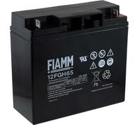 FIAMM Batterie au plomb rechargeable 12FGH65 (hochstromfest)