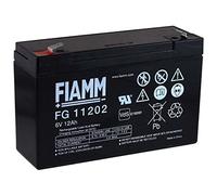 FIAMM Batterie au Plomb Rechargeable FG11202 VDS