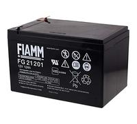 FIAMM Batterie au Plomb Rechargeable FG21201 VDS