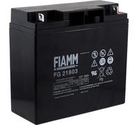 FIAMM Batterie au plomb rechargeable FG21803